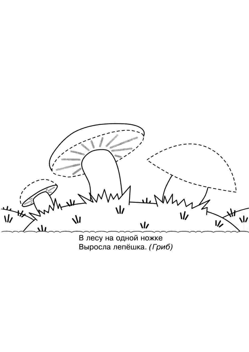 Раскраска Розфарбування з загадками. Картинки для розфарбовування.