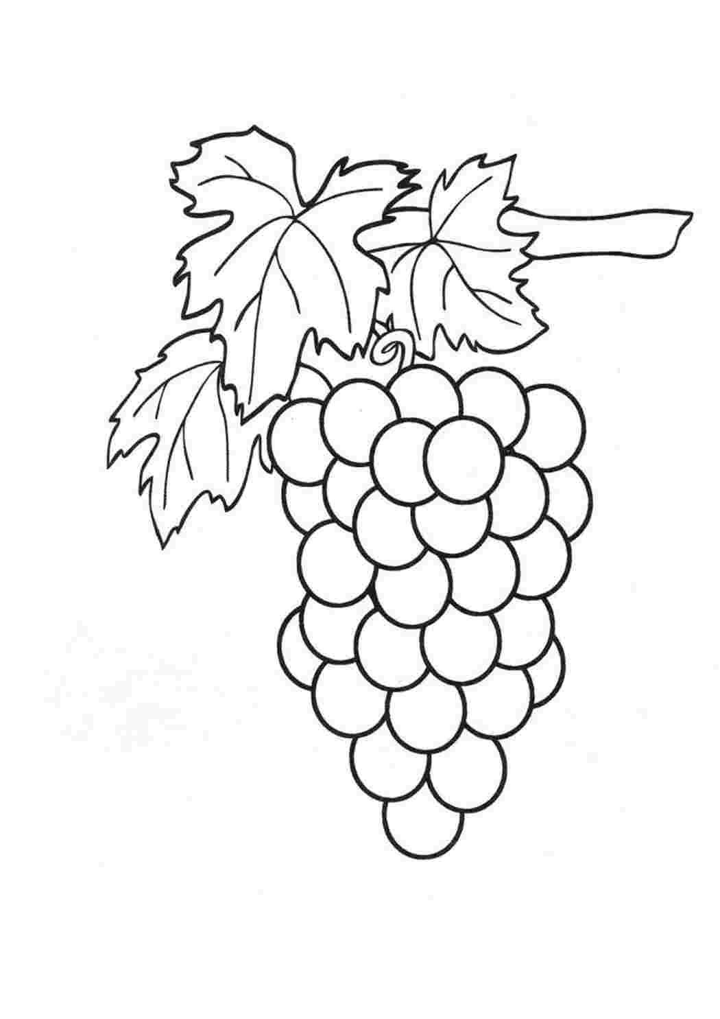 Раскраска Цікаві розмальовки розмальовки для дітей 4 років. Роздрукувати розмальовки на сайті.