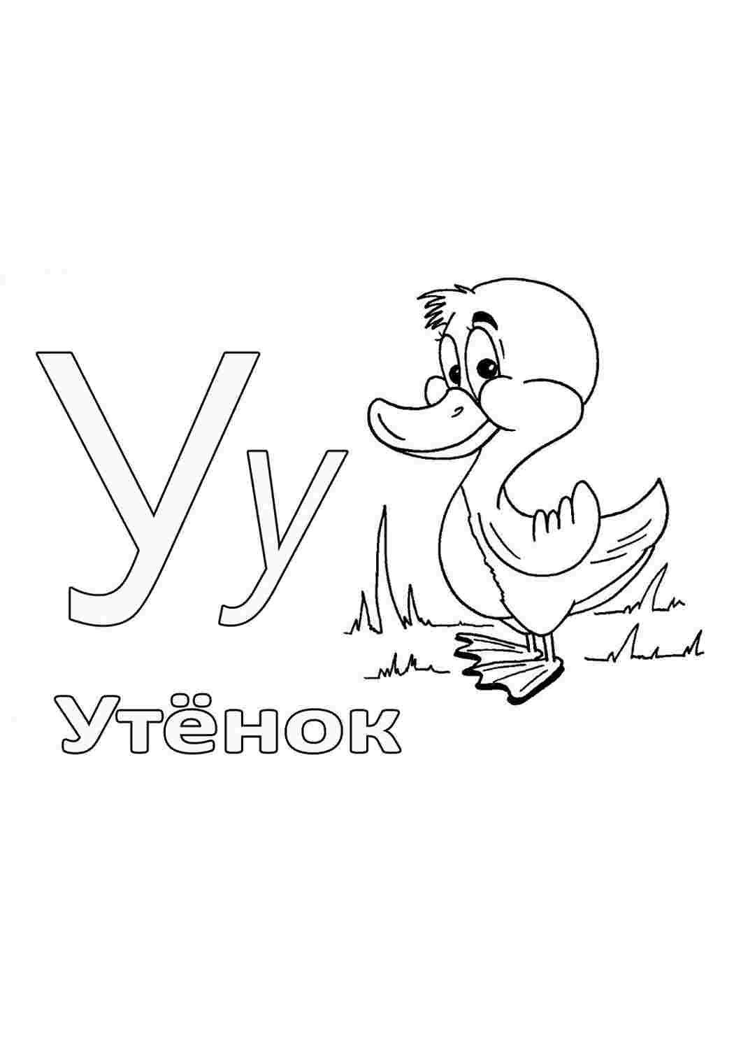 Раскраска Азбука у картинках У. Гарні розмальовки.