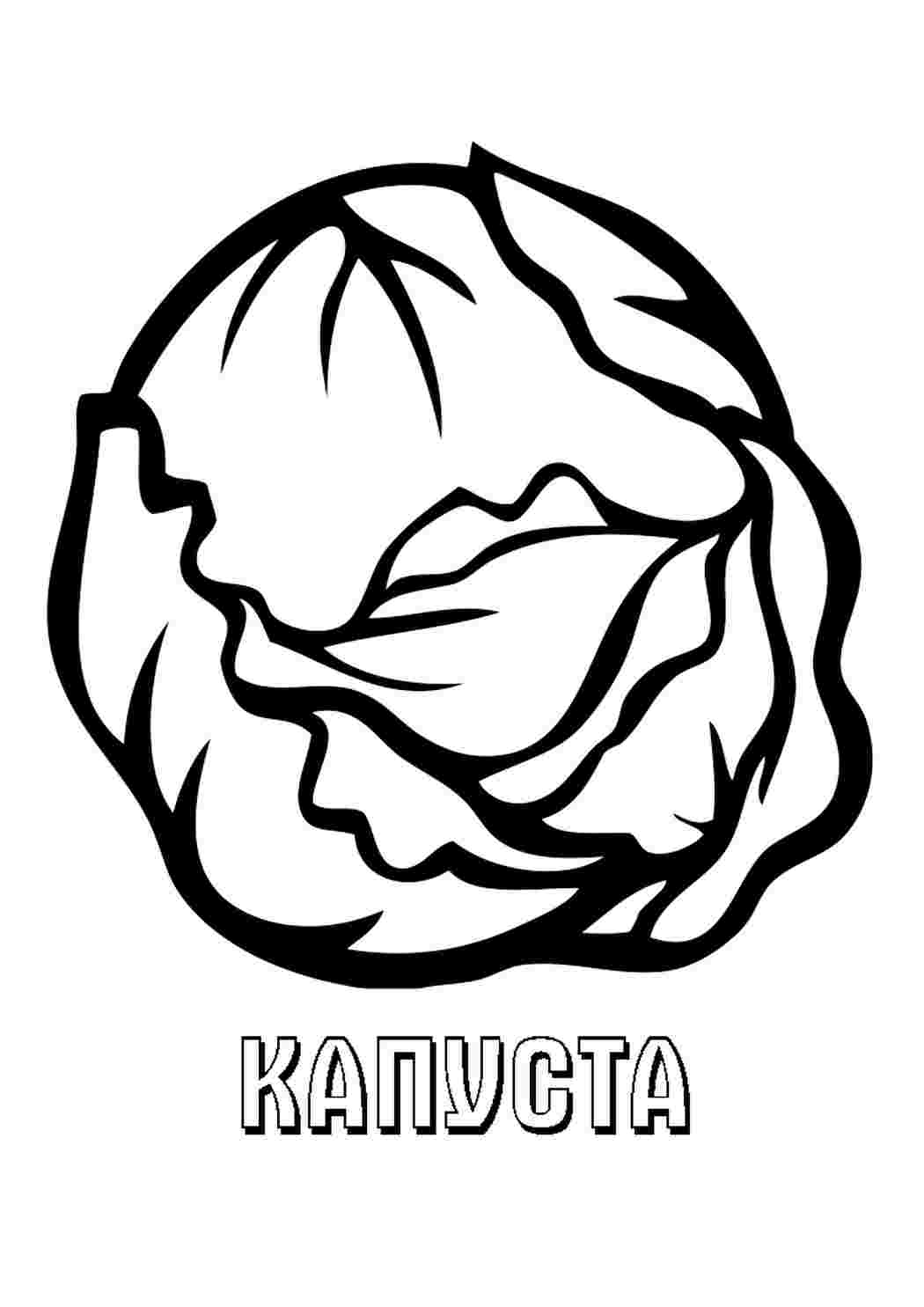 Раскраска Капуста їжа. Найкращі розмальовки.