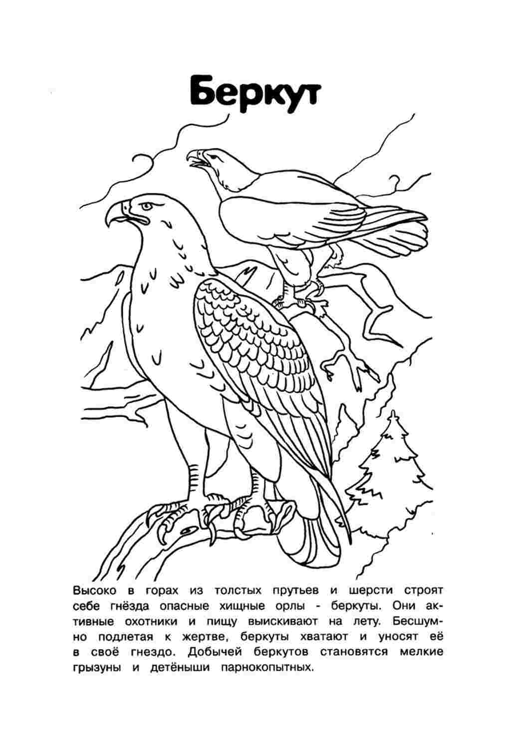 Раскраска Розфарбування Червона книга. Розмальовки.