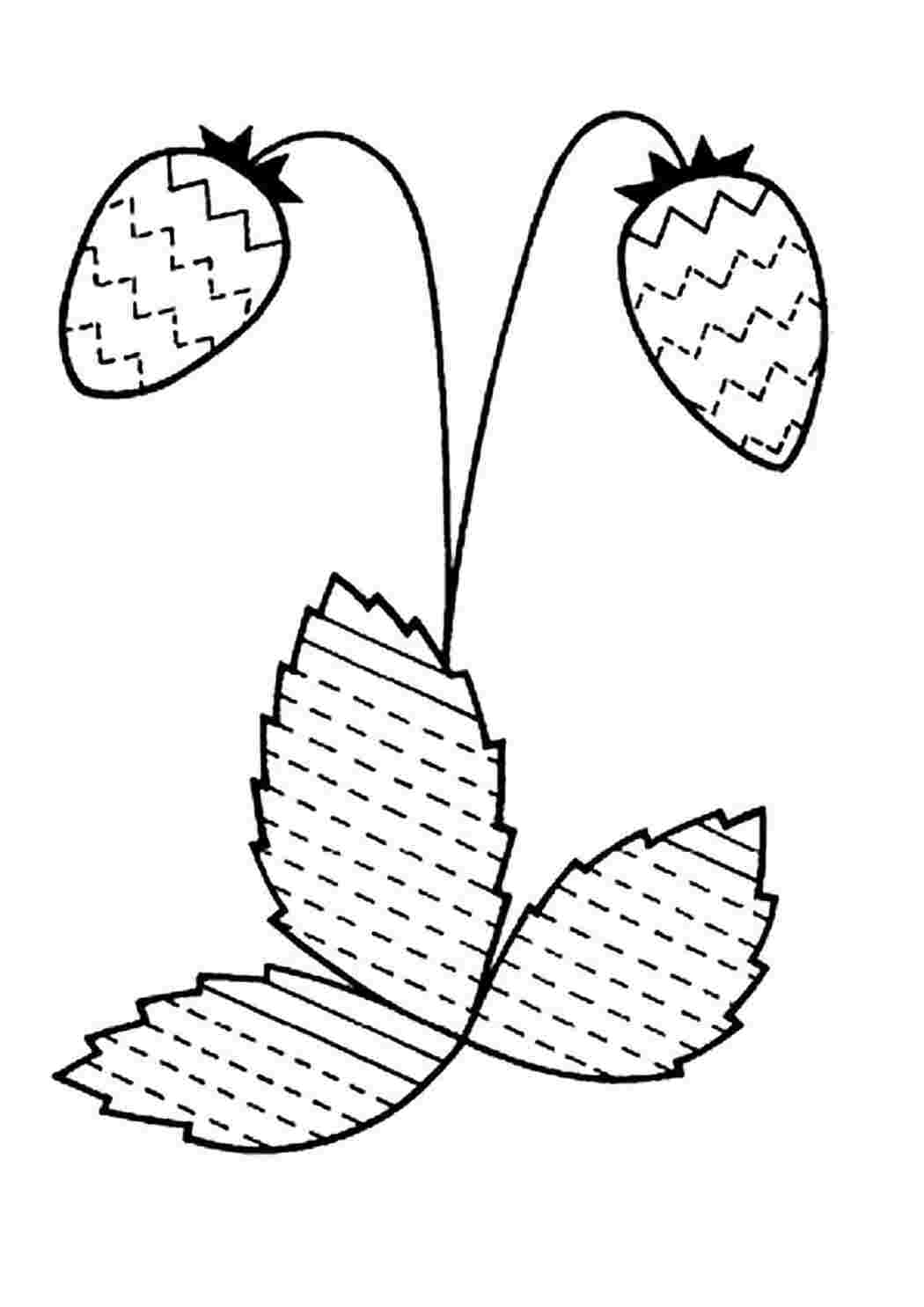 Раскраска Розфарбування Земляника. Розфарбування без СМС.