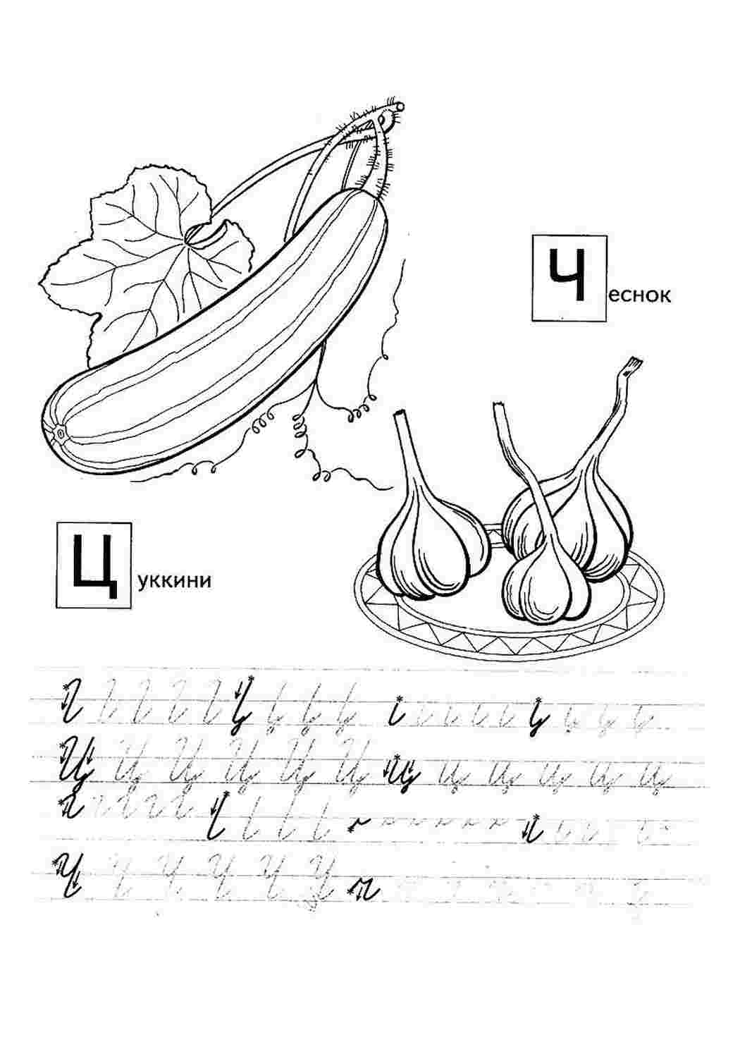 Раскраска Розфарбування часник. Гарні розфарбування.