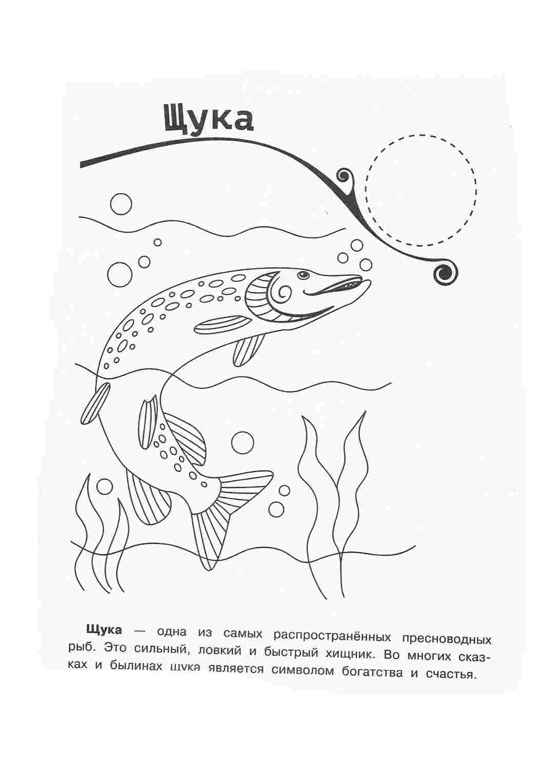 Раскраска Розфарбунки природа розмальовка став. Багато розмальовок.