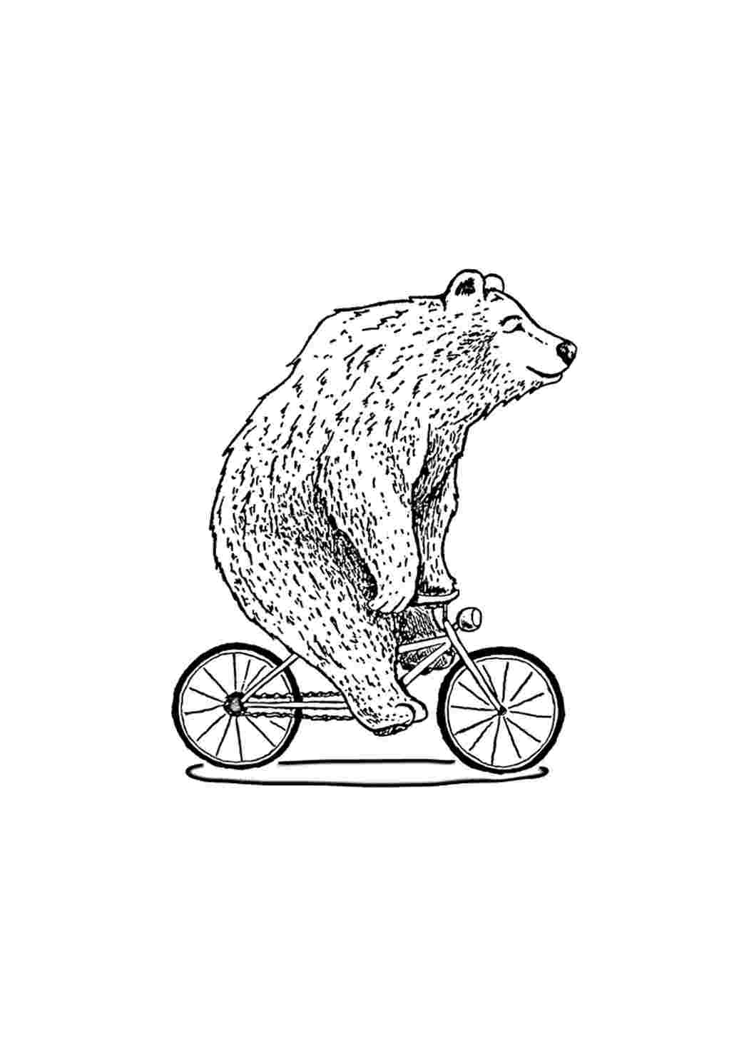 Раскраска Книга-розфарбовка з ведмедиком Каріху. Розмальовки.