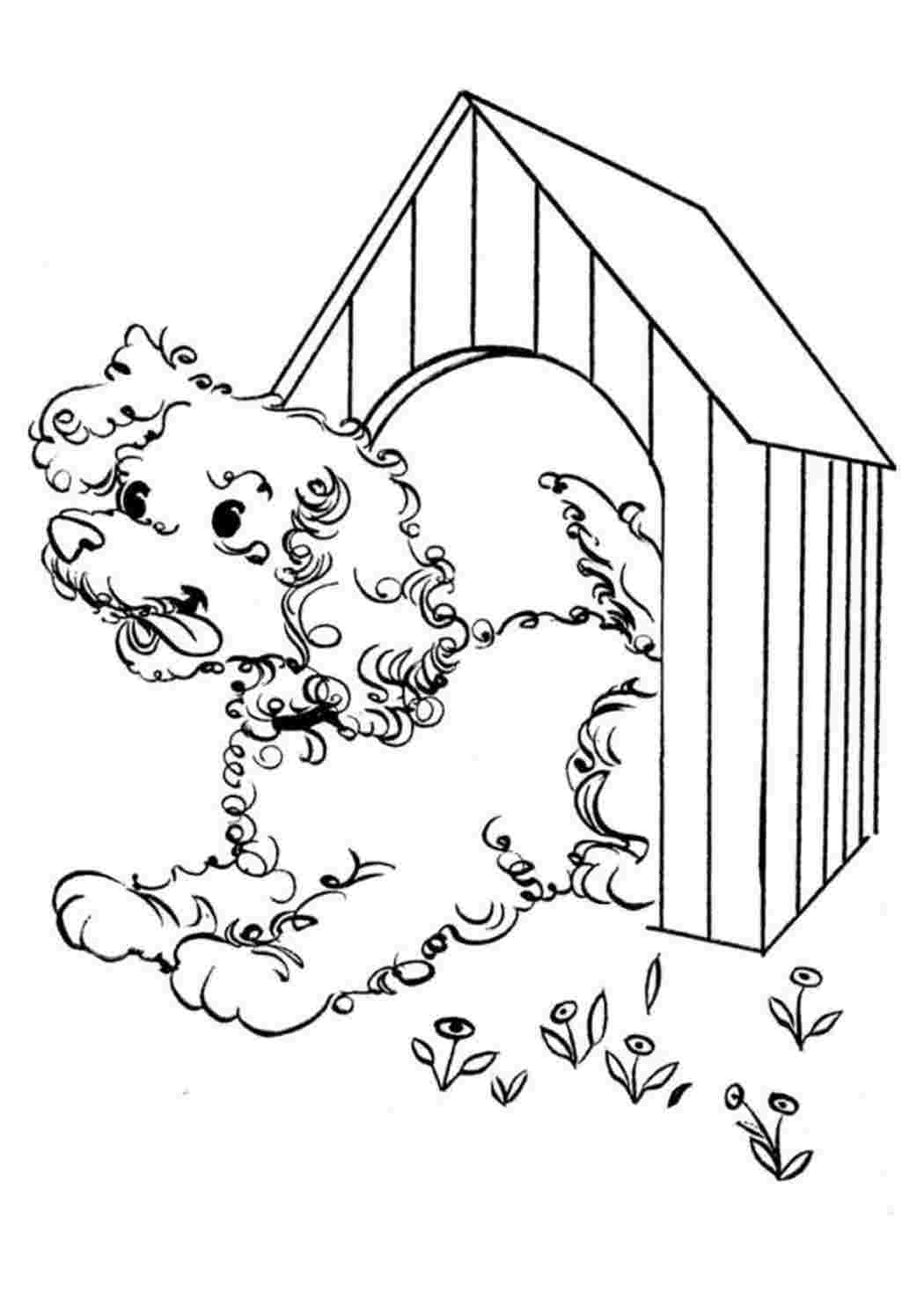 Раскраска Будка собаки розмальовка. Безкоштовні розмальовки.