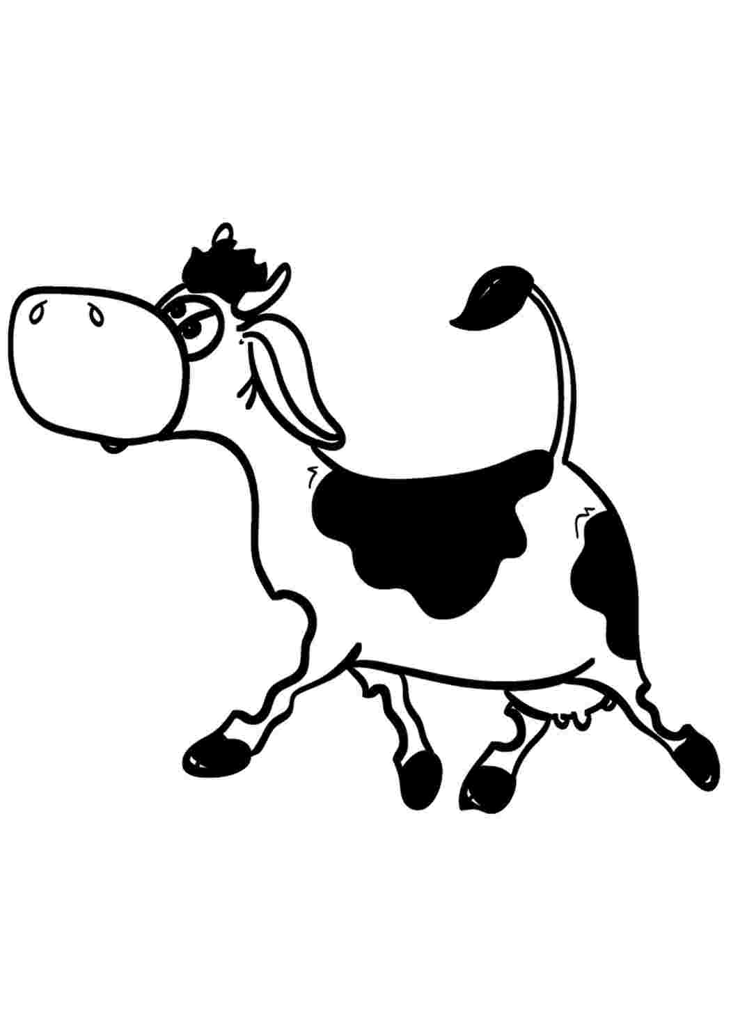 Раскраска Ідуча корова. Розмальовки.