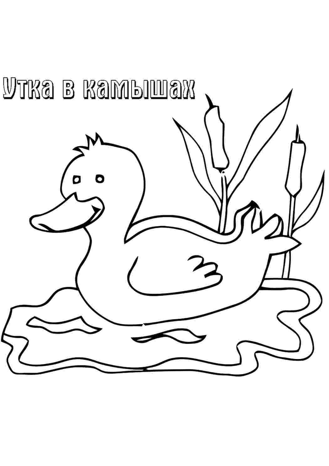 Раскраска Невеличка природа. Розмальовка для друку.