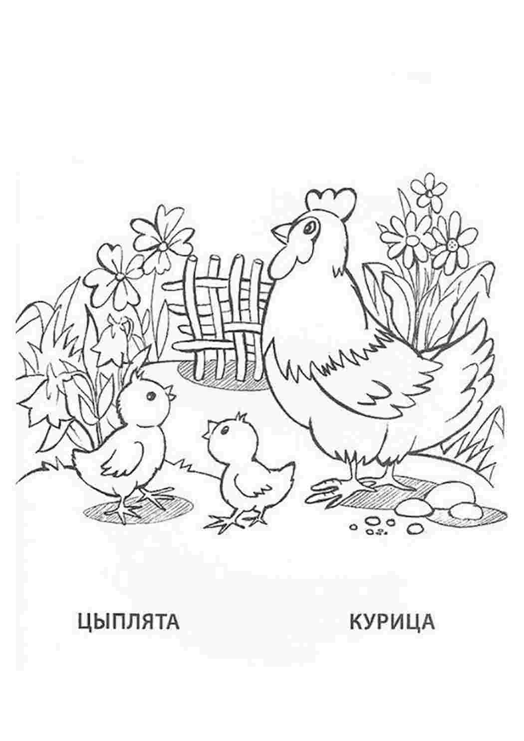 Раскраска Розфарбунки тварини. Розфарбування.