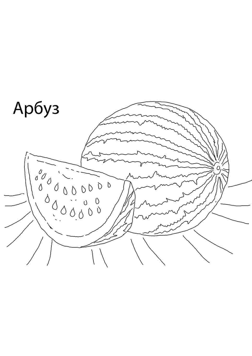 Раскраска Розфарбування кавун. Роздрукувати розфарбування.