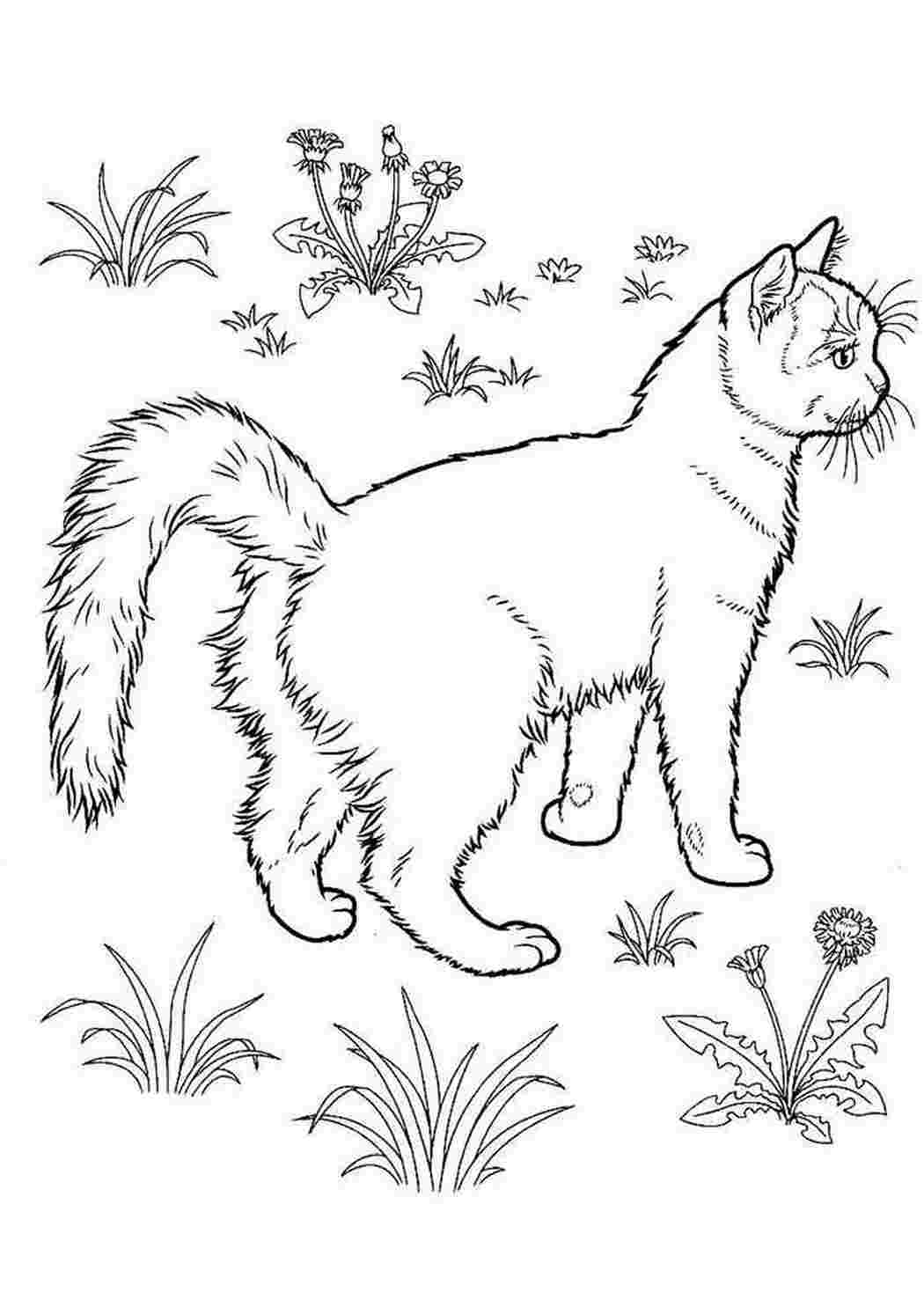 Раскраска Розфарбунки кошки та кошенята. Розвиваючі розфарбунки.