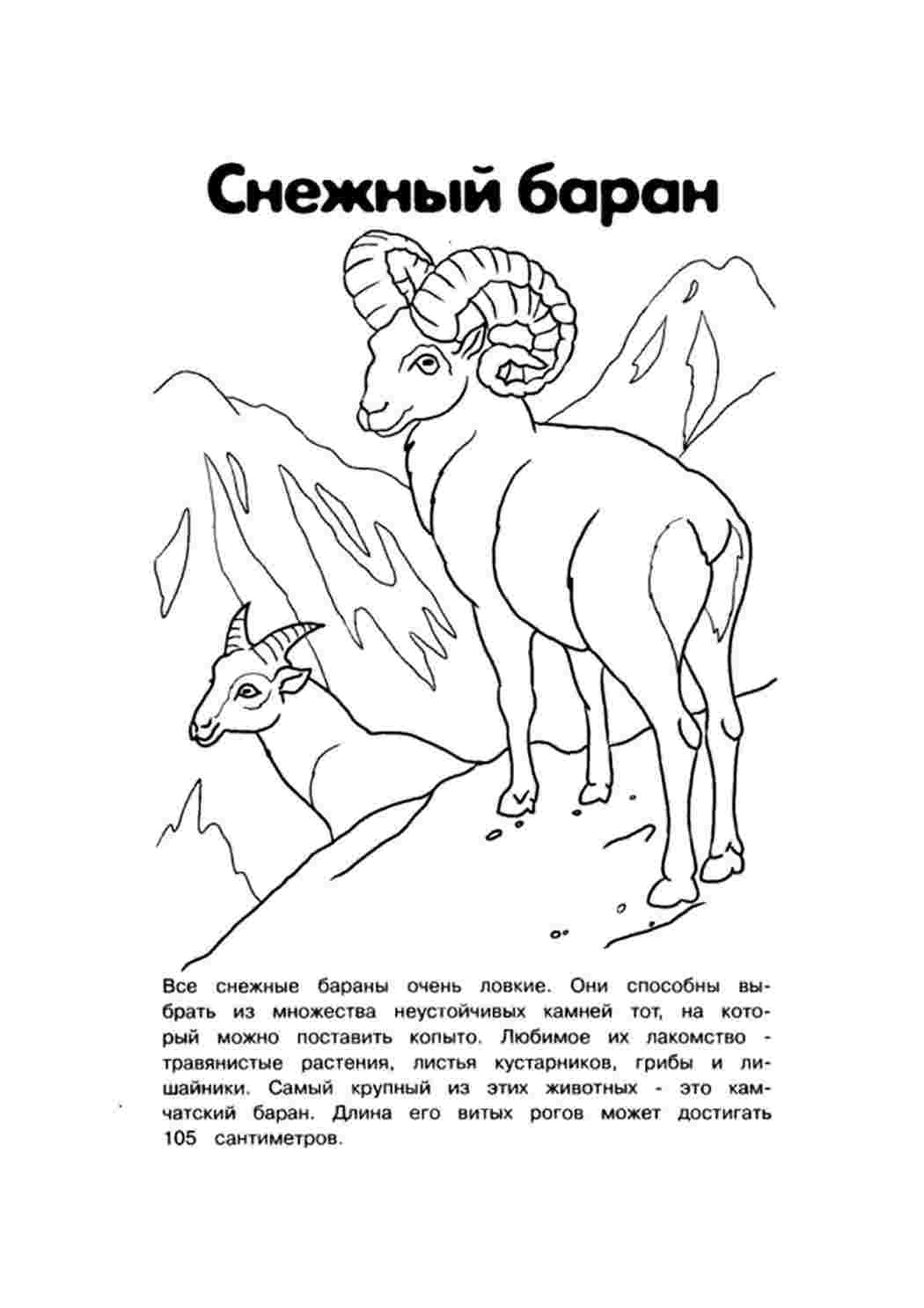 Раскраска Розфарбування Червона книга. Роздрукувати розмальовки на сайті.