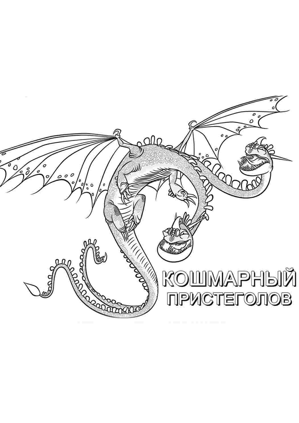 Раскраска Розфарбування з мультфільмів, розфарбування Як приручити дракона. Розфарбування у форматі А4.