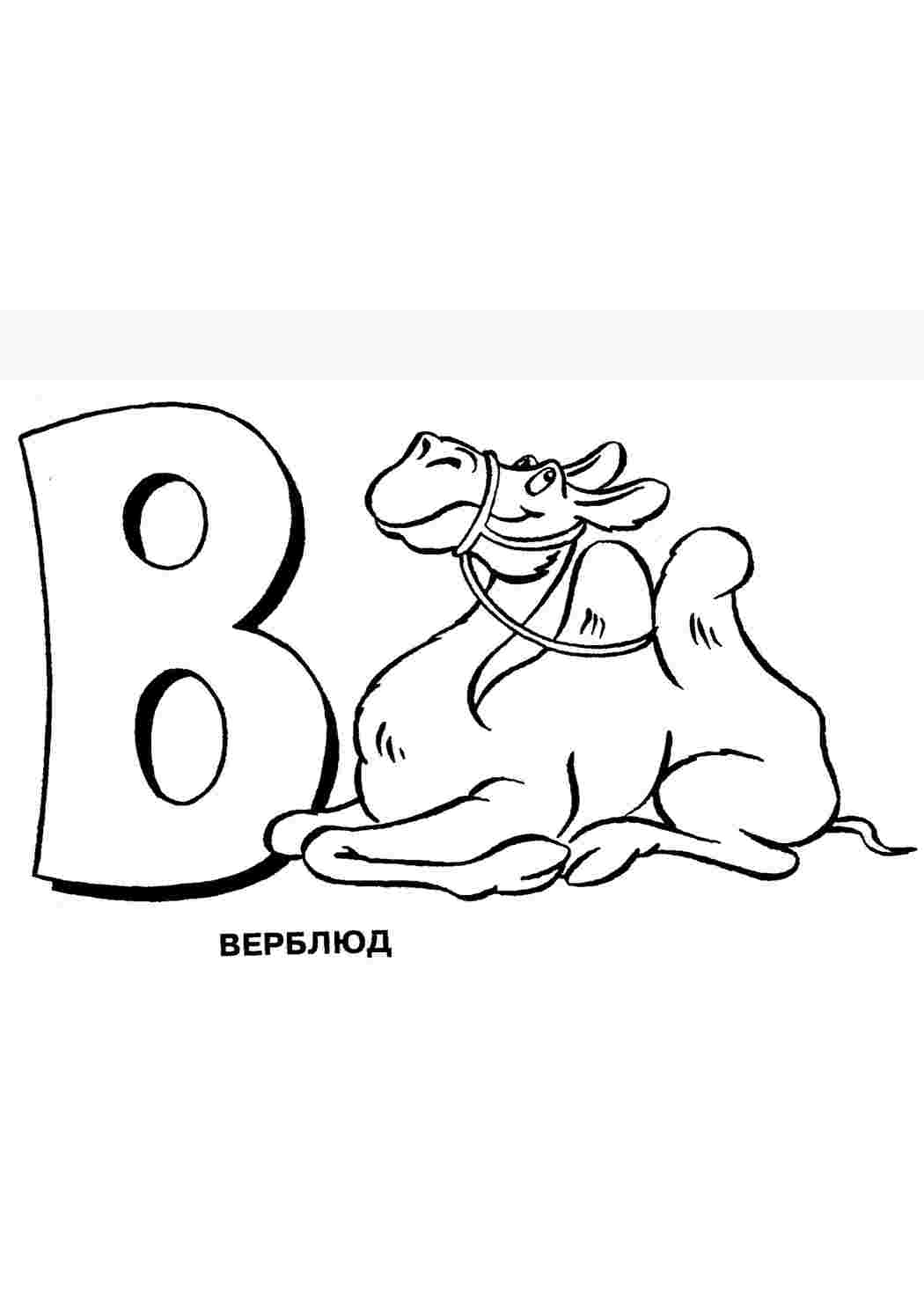 Раскраска Розфарбування тварин розмальовка верблюд. Розмальовки.