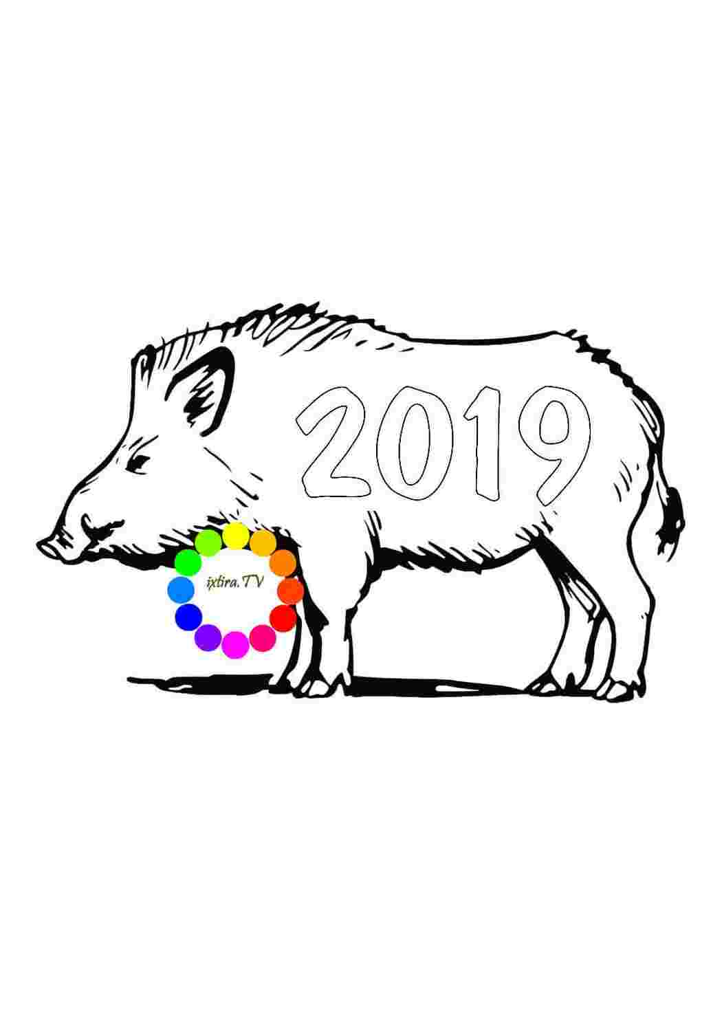 Раскраска Розфарбування Розфарбування рік Свині роздрукувати. Роздрукувати розфарбування.