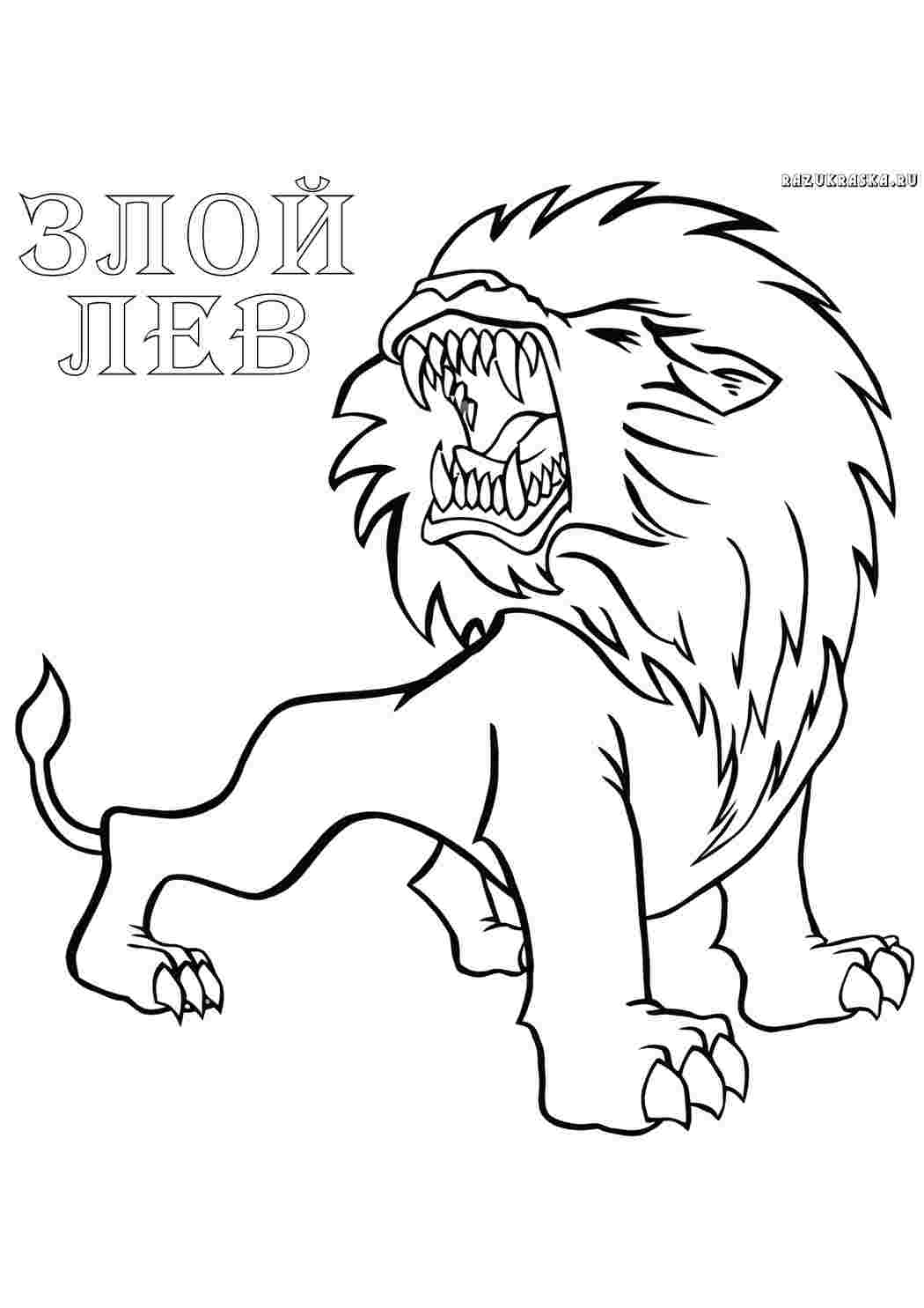 Раскраска Лев. Розмальовки у форматі А4.