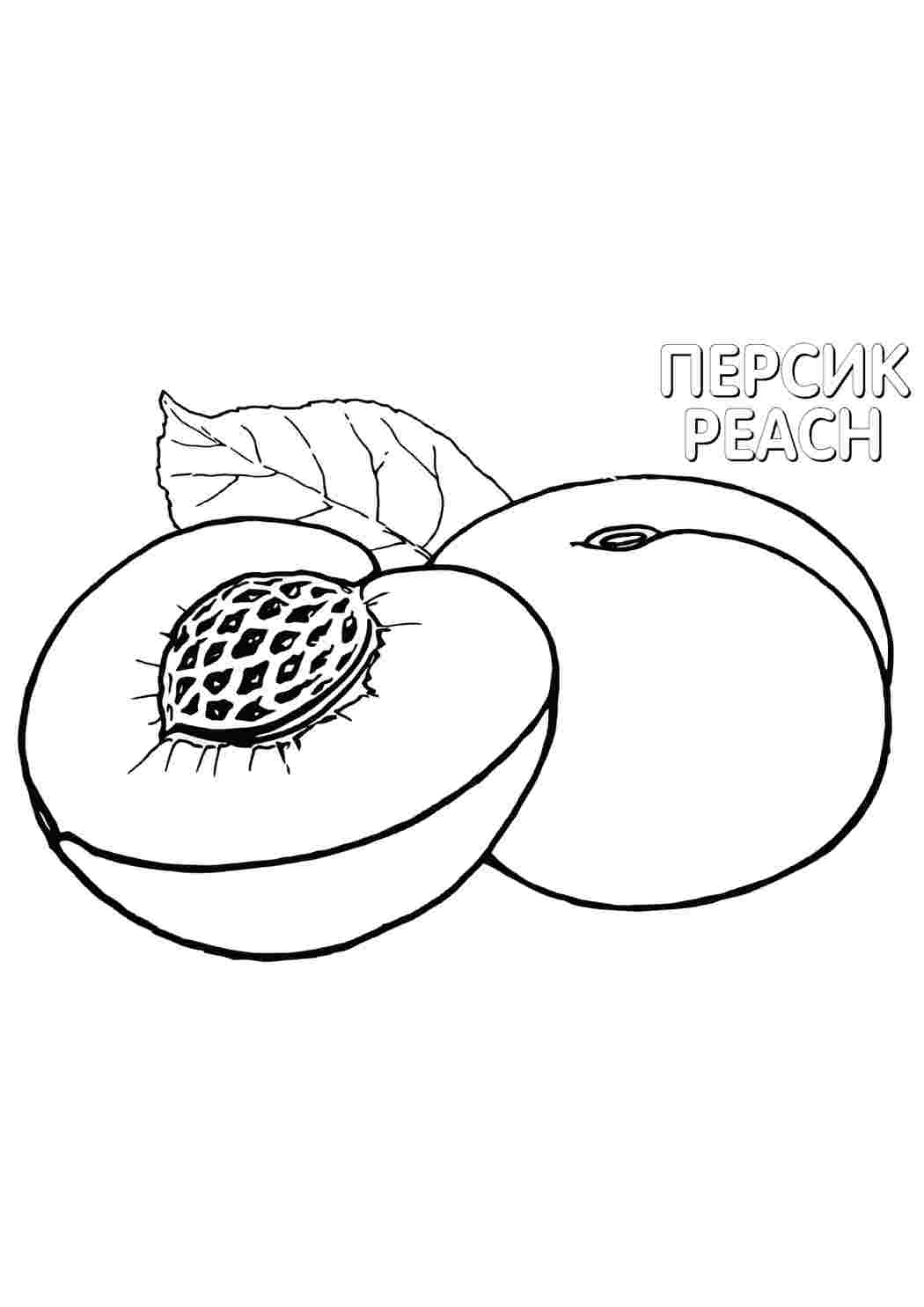 Раскраска Персик їжа. Цікаві розмальовки.