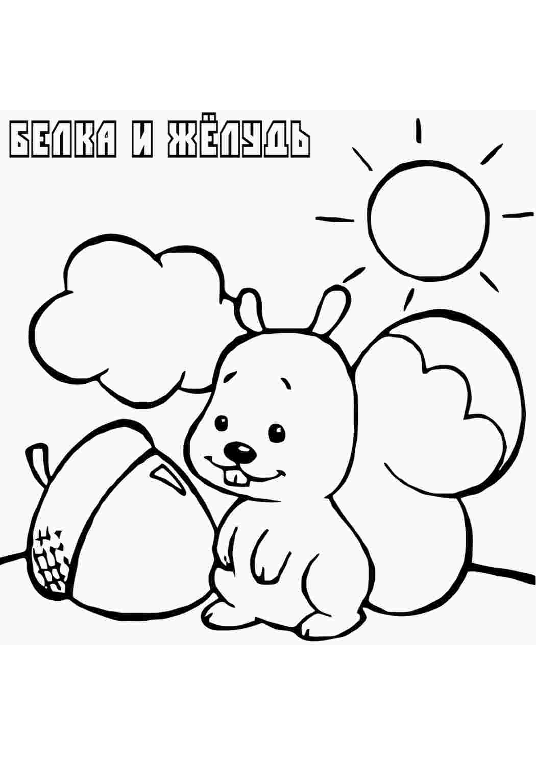 Раскраска Волоський горіх природа. Роздрукувати розмальовки.