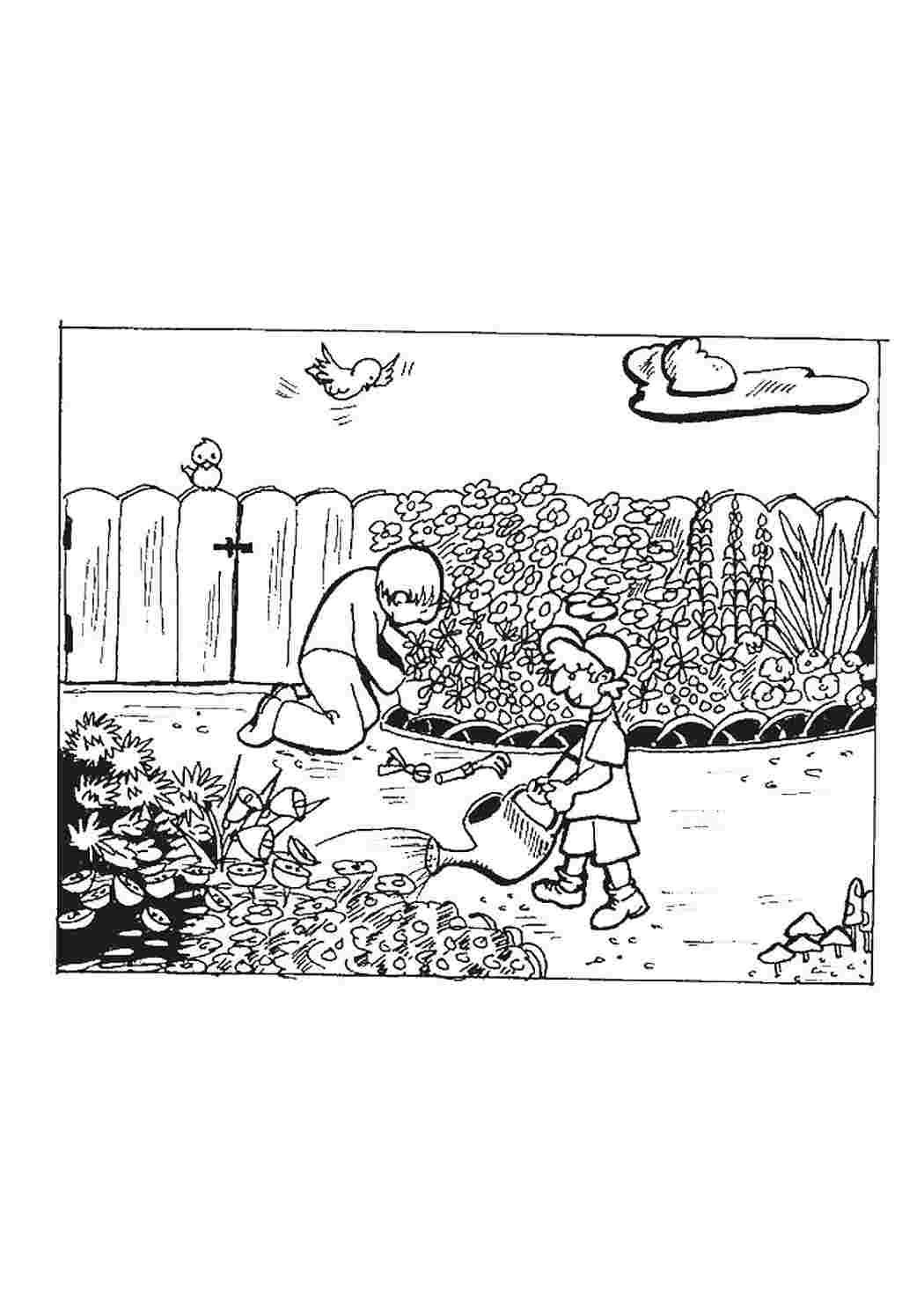 Раскраска Розфарбування сад. Розфарбування у форматі А4.