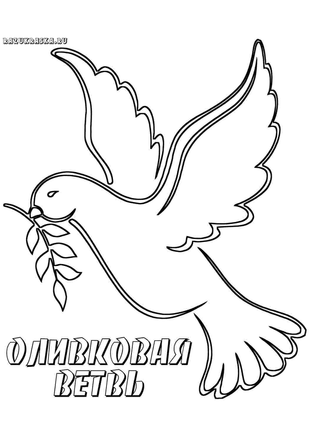 Раскраска Свята. Онлайн розмальовки.