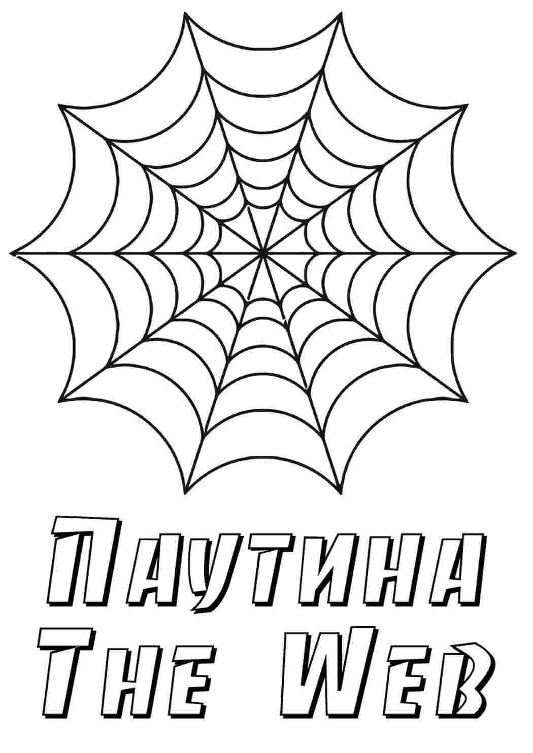 Раскраска павутина. Цікаві розмальовки.