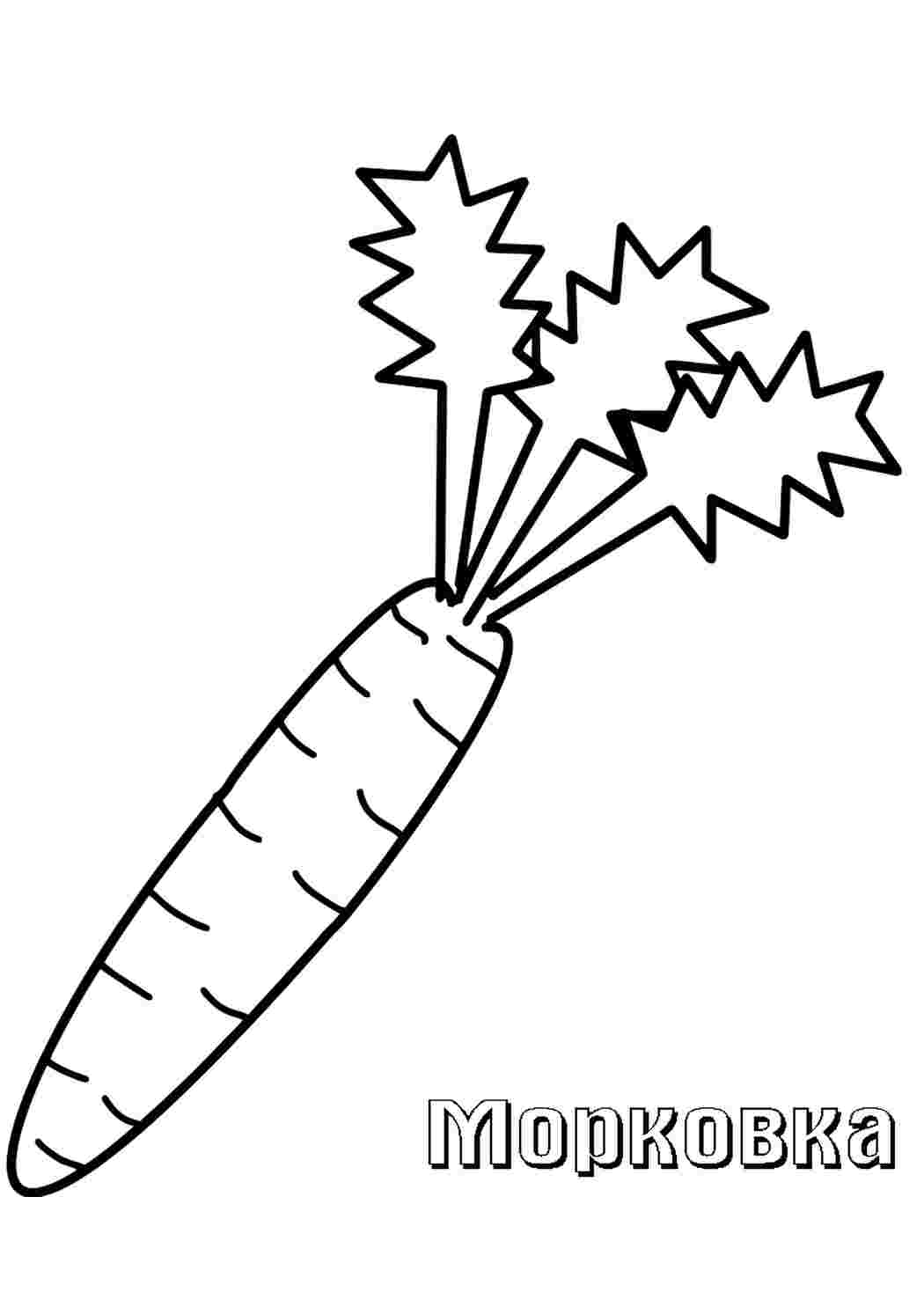 Раскраска морква природа. Малюнки розмальовки.