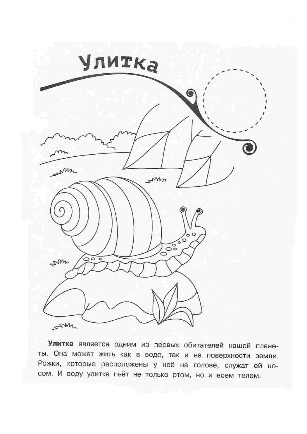 Раскраска Розфарбунки природа розмальовка став. Розмальовки без СМС.
