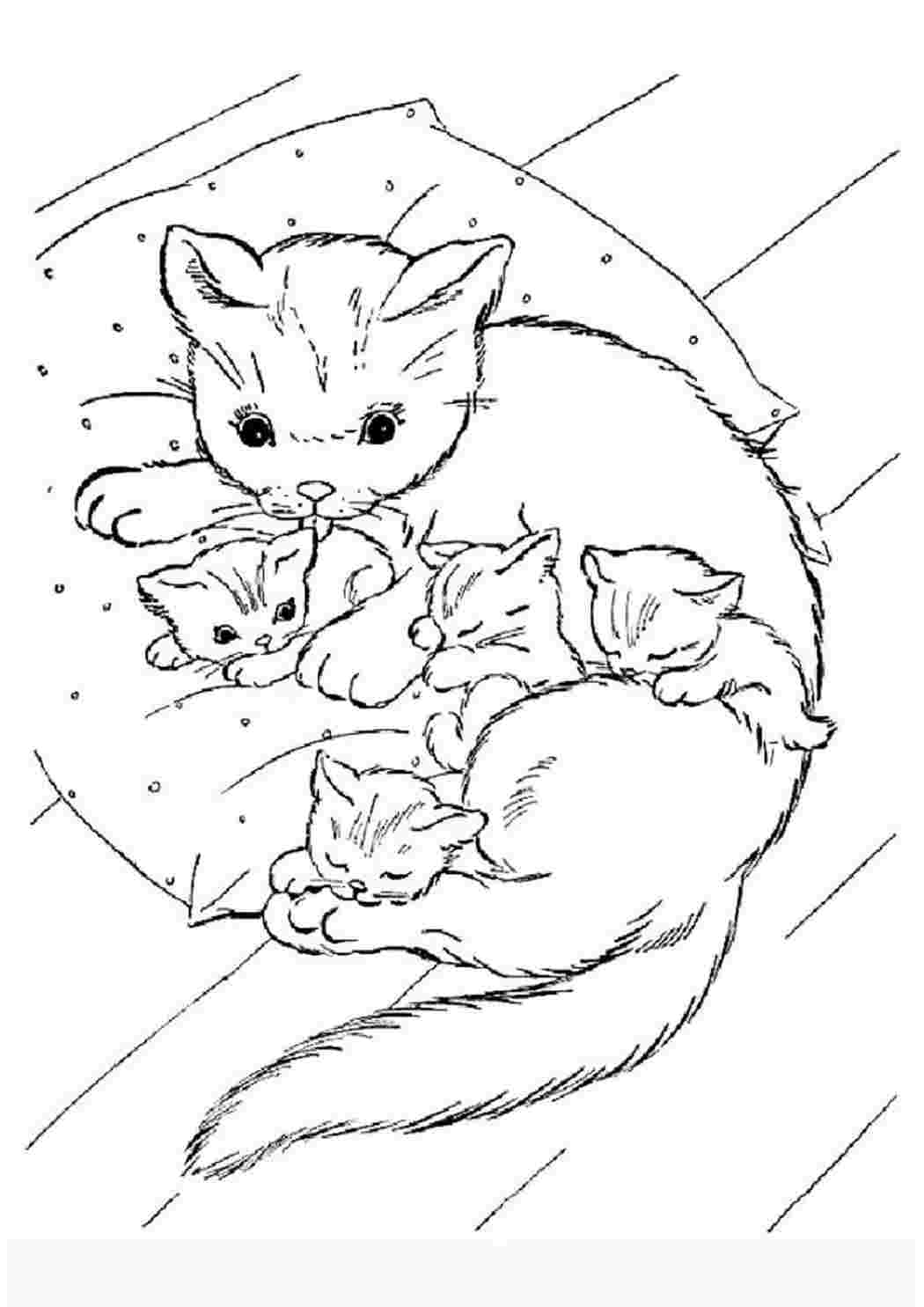 Раскраска Розфарбування кошка з кошенятами. Розфарбуй.