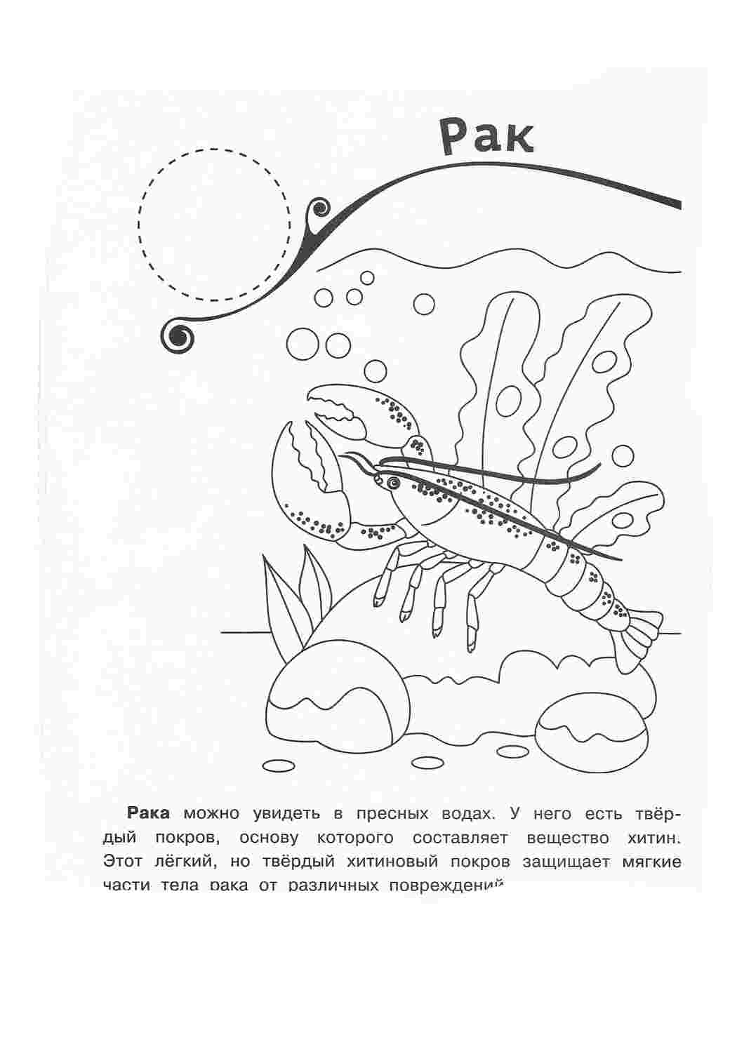 Раскраска Розфарбунки природа розмальовка став. Розмальовка без реєстрації.