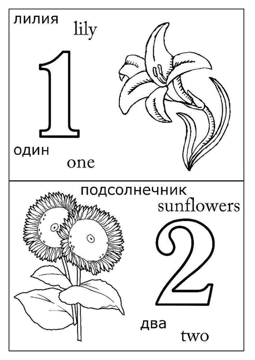 Раскраска Розфарбування для 1 класу. Розфарбовувати онлайн.