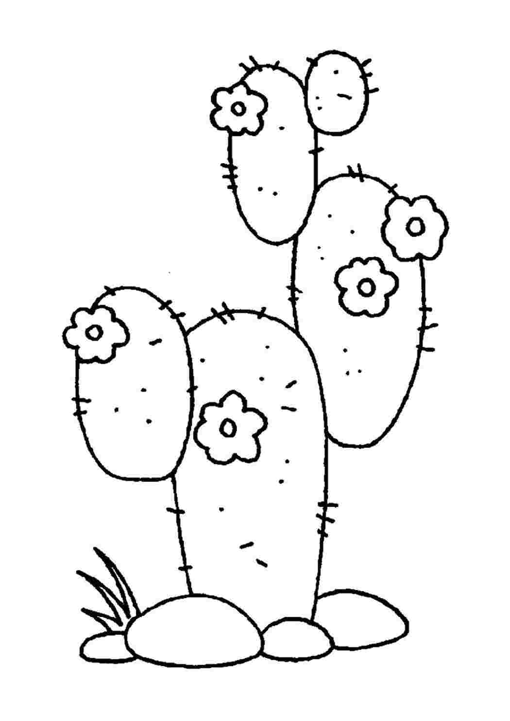 Раскраска Розфарбунки природа розмальовка кактус у горщику. Розмальовки.