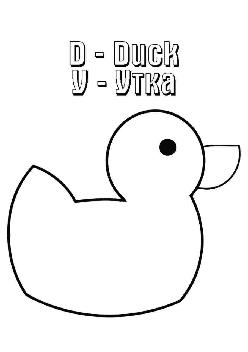 Раскраска Розфарбунки тварини розмальовка качка. Розфарбунки у форматі А4.