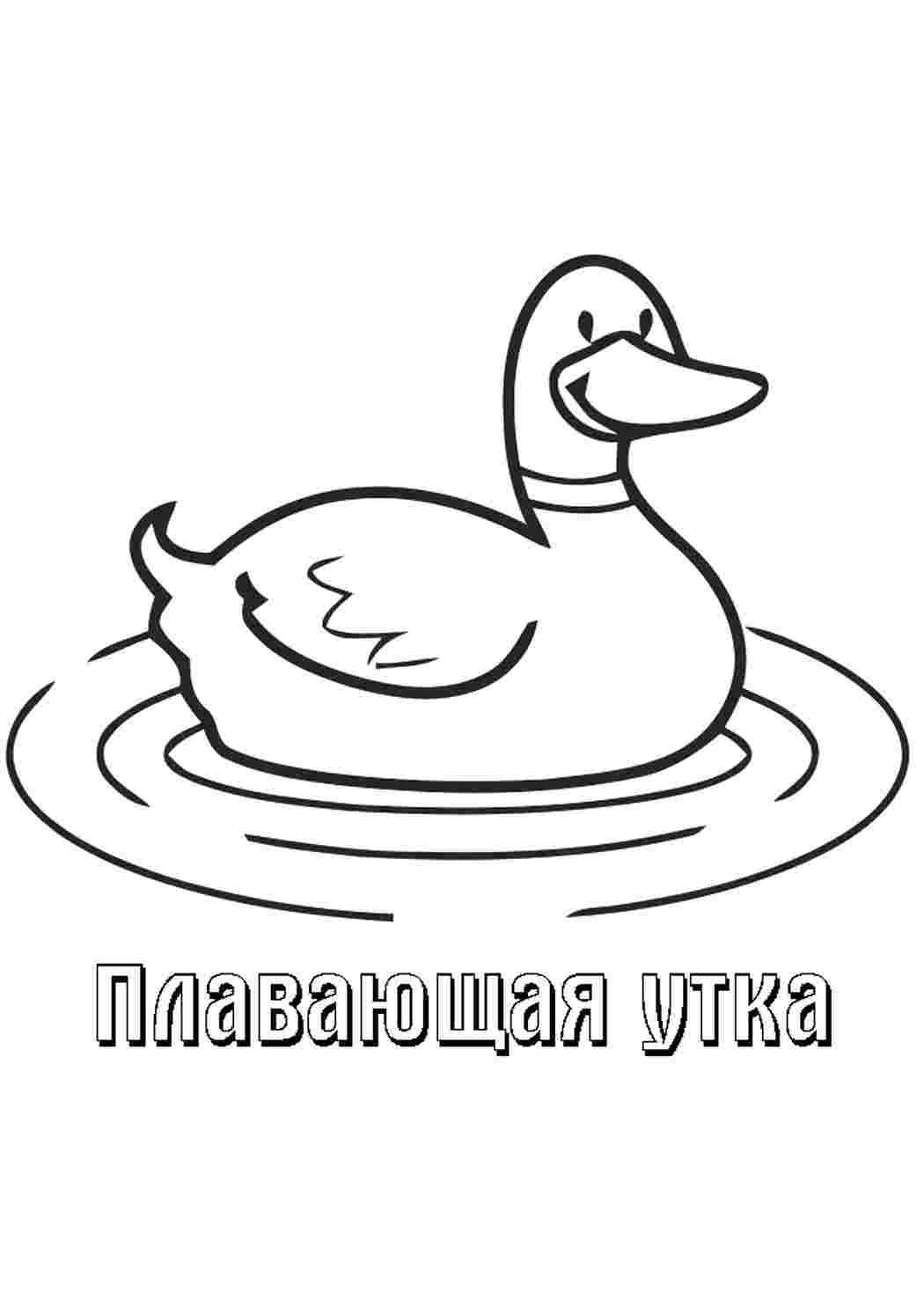 Раскраска Невеличка природа. Розмальовка.