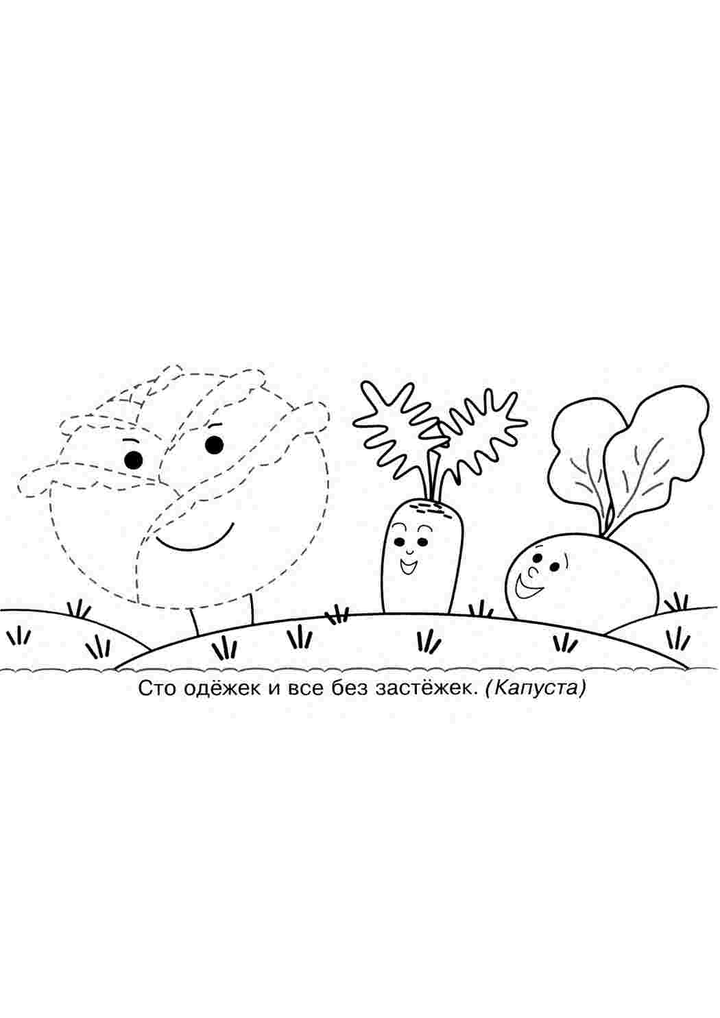 Раскраска Капуста розмальовка. Цікаві розмальовки.
