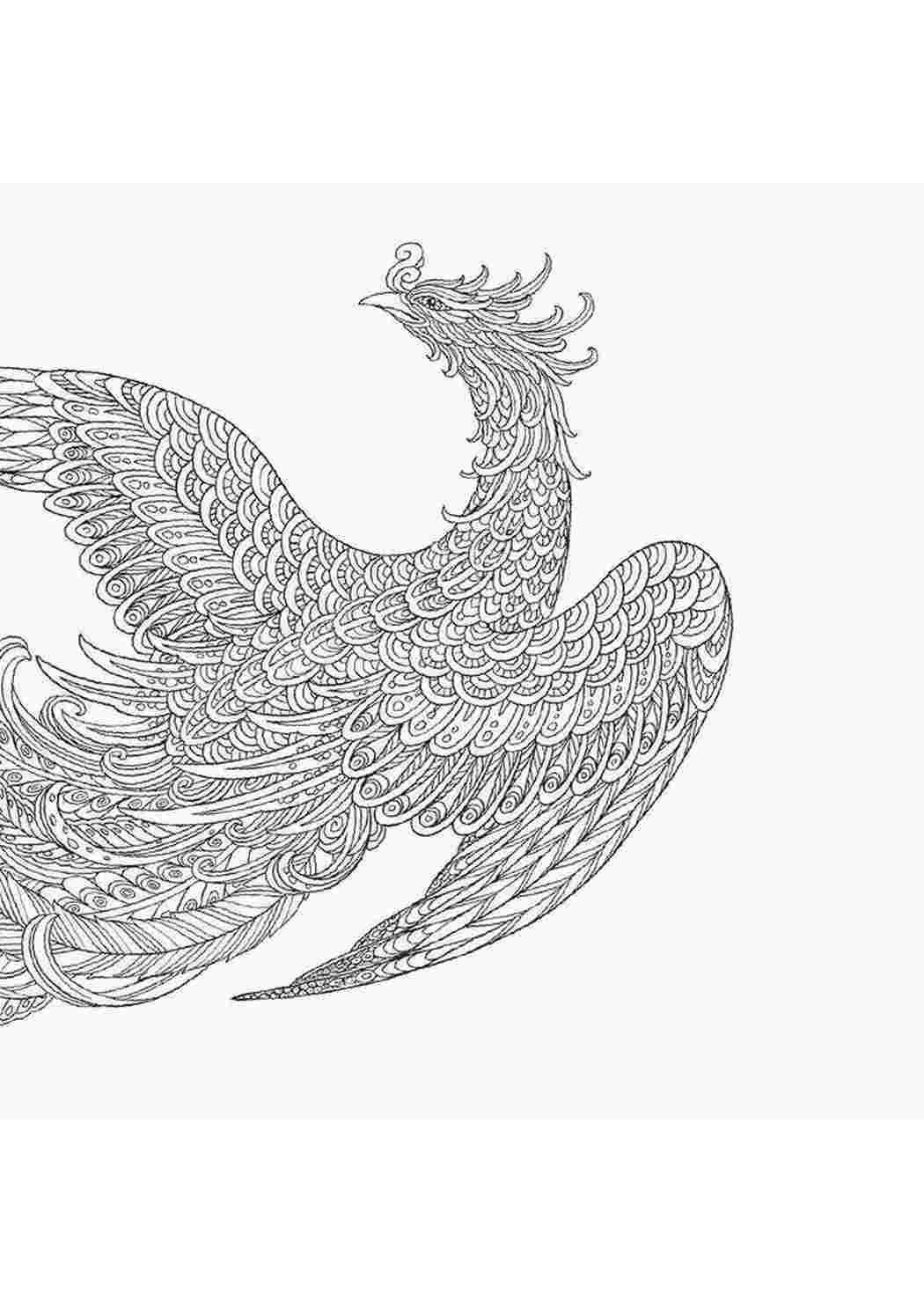 Раскраска Розфарбунки для дорослих, розфарбунки антистрес, тварини. Друкувати розмальовку.