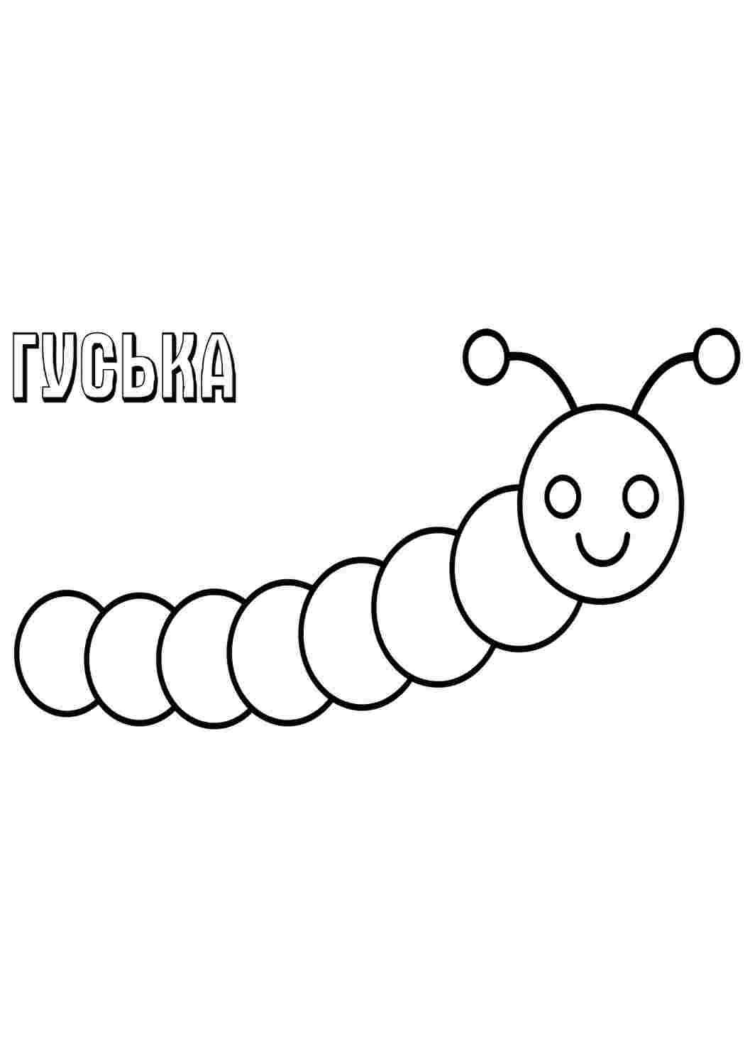Раскраска Розфарбунки тварин. Безкоштовні розфарбунки.
