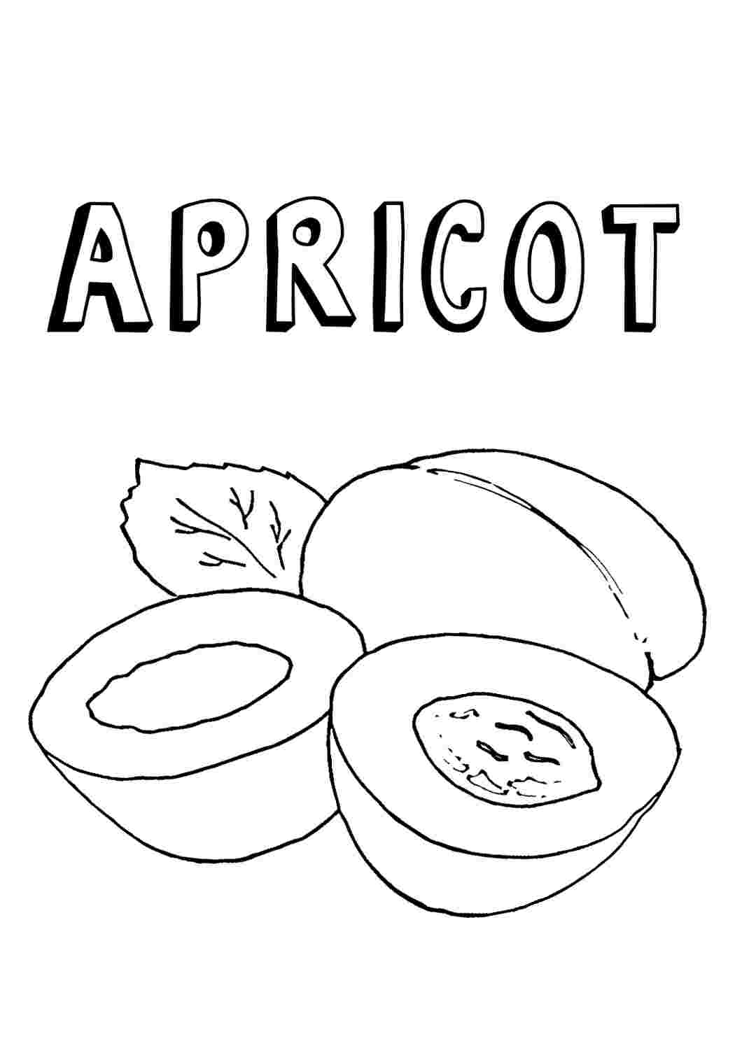Раскраска Абрикос їжа. Розмальовки у форматі А4.