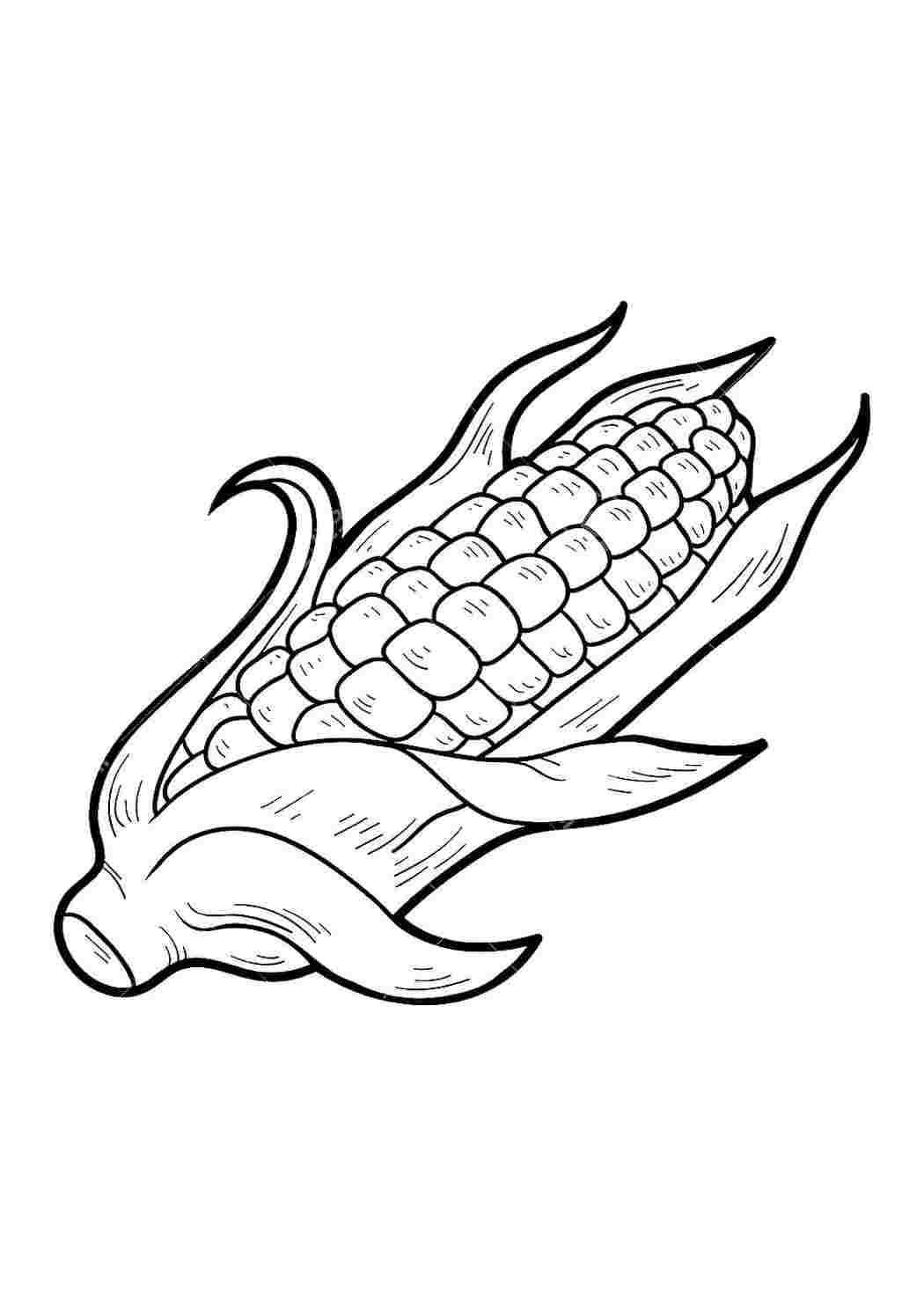 Раскраска Розфарбування кукурудза. Розфарбування для друку.
