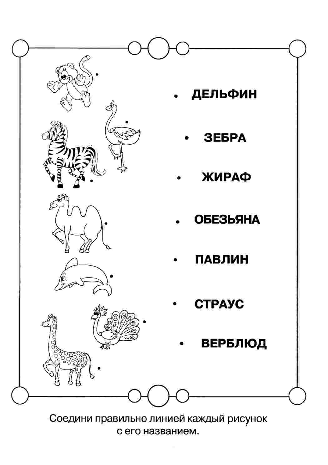 Раскраска Тварини. Розфарбування.