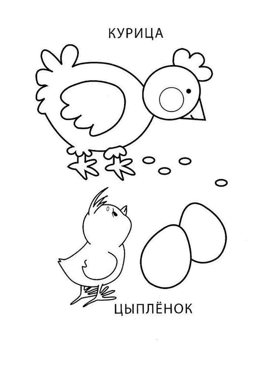 Раскраска Розфарбунки тварини. Завантажити розфарбунки.