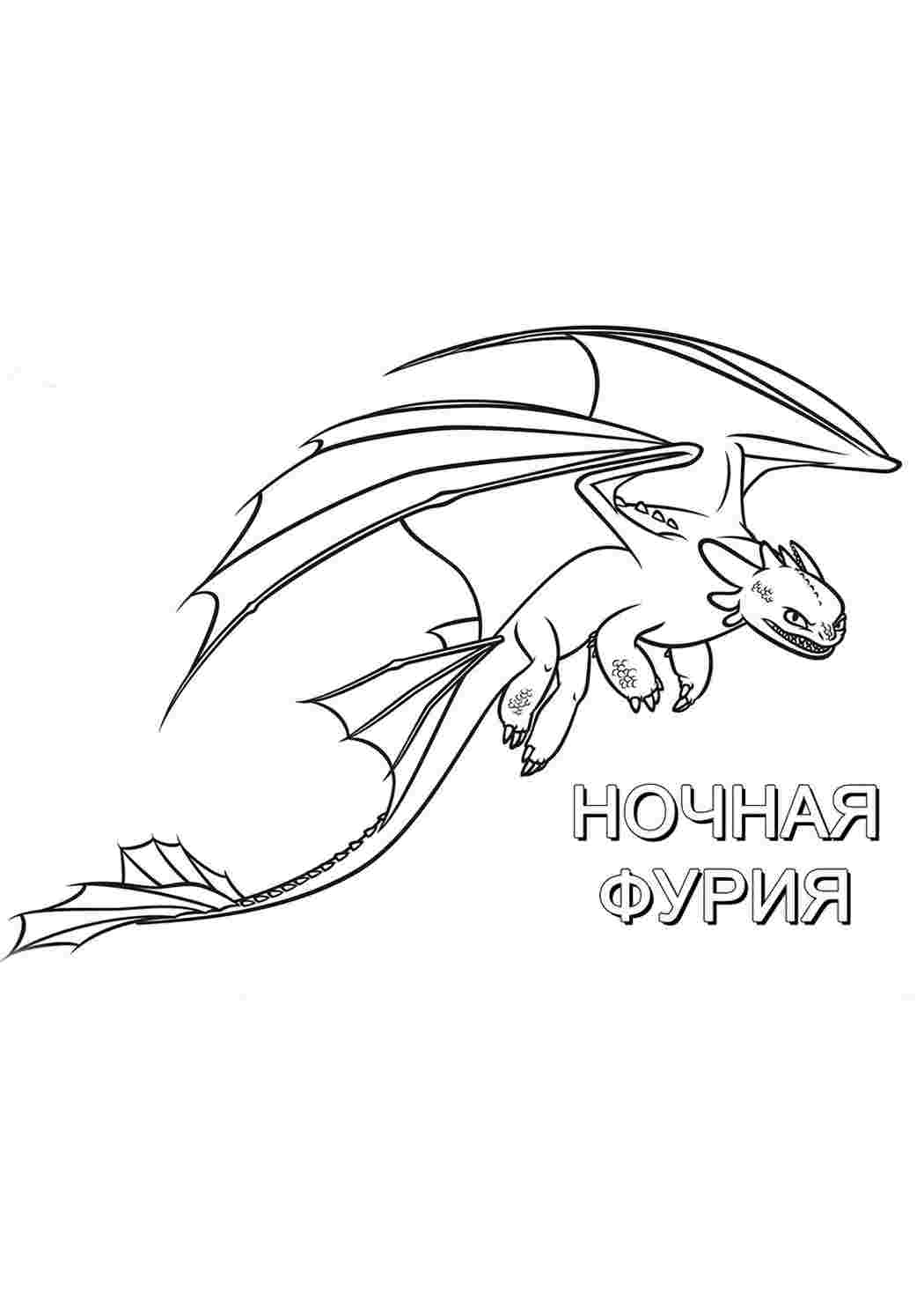 Раскраска Розфарбунки з мультфільмів розфарбунок як приручити дракона. Розфарбунки для розвитку.