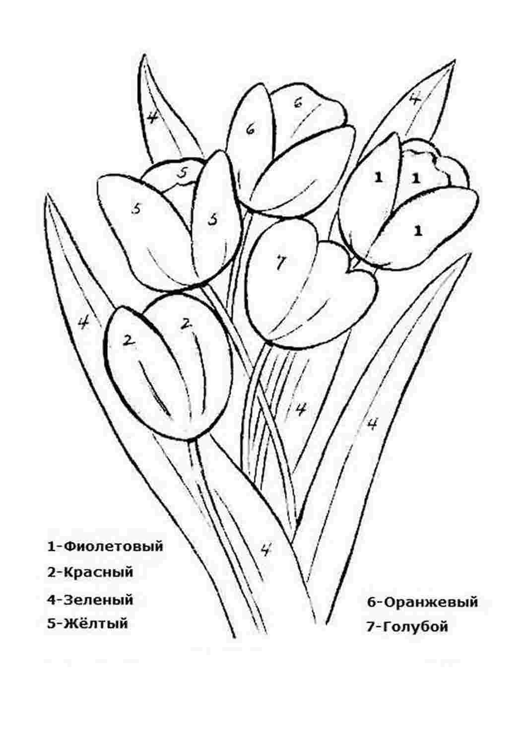 Раскраска За номерами. Розмальовувати онлайн.