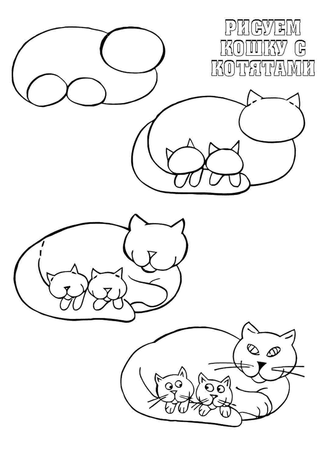 Раскраска Котик. Розмальовувати онлайн.