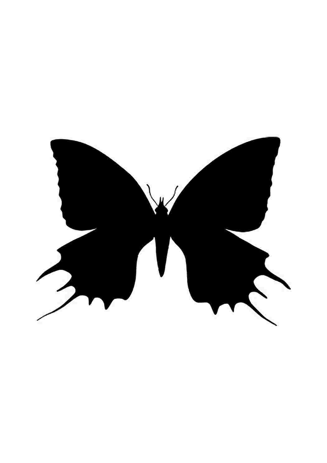 Раскраска Трафарет метелика. Розфарбовувати онлайн.