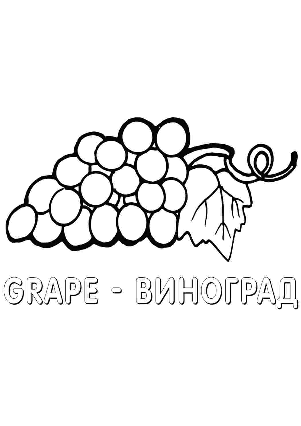 Раскраска Виноград їжа. Розмальовка.