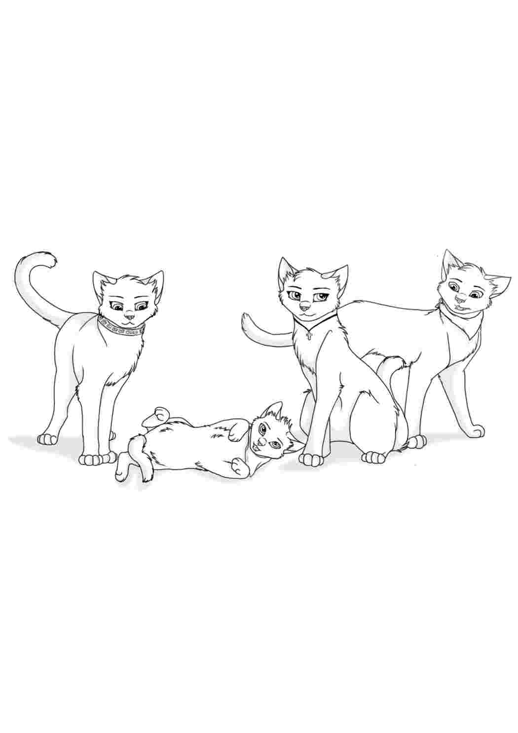Раскраска Розфарбунки з мультфільмів розмальовка коти воїни. Безкоштовно знайти розмальовку.