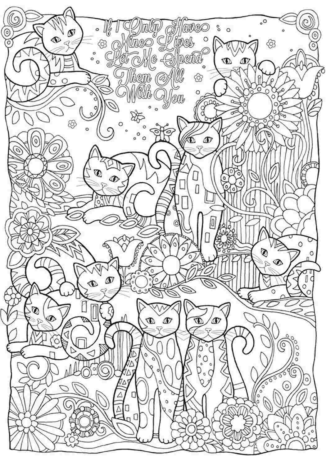 Раскраска Коти. Розмальовка для друку.