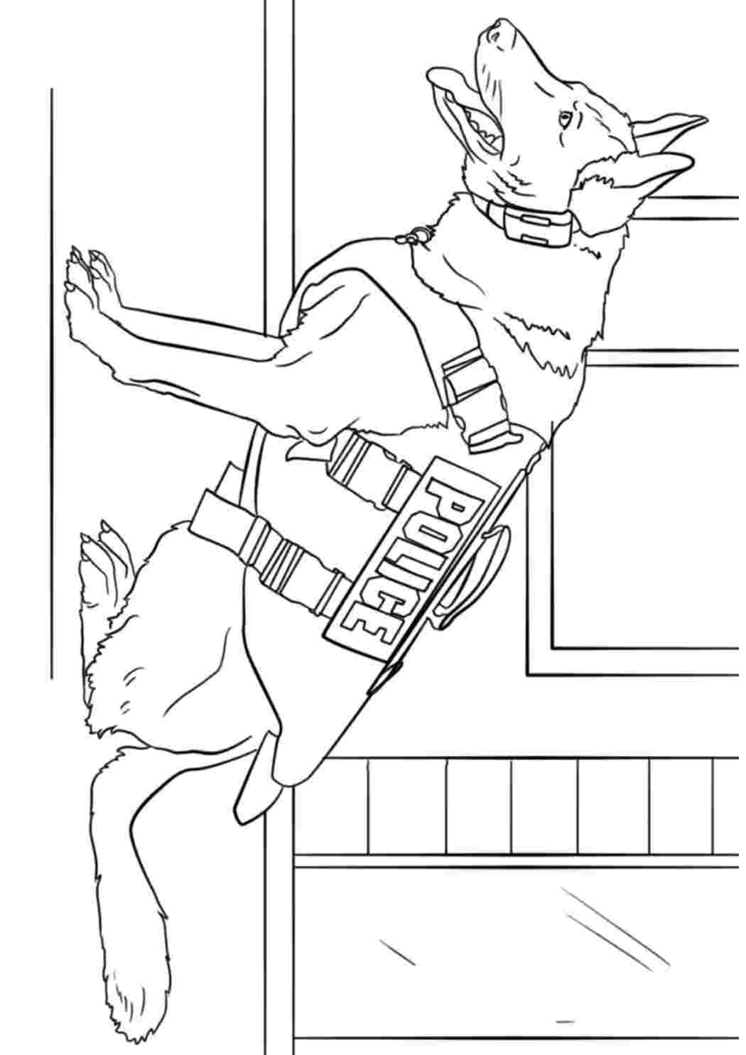 Раскраска Розфарбування поліцейська собака. Завантажити розмальовки безкоштовно.
