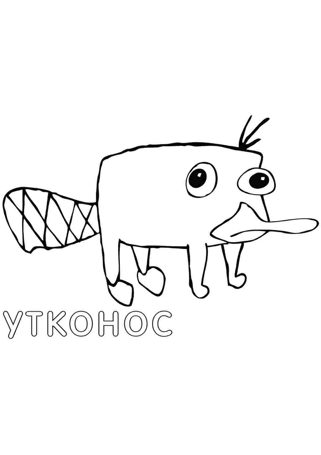 Раскраска Качконіс. Розфарбування.