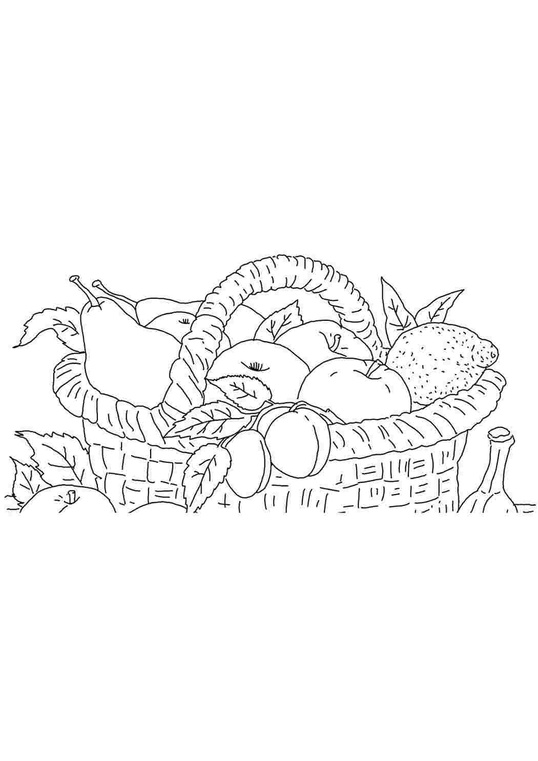 Раскраска Розфарбування кошик. Гарні розмальовки.